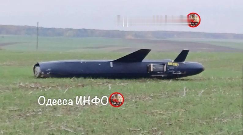 图文：乌在敖德萨州发现一枚几乎完好无损的俄军小型巡航导弹

据“Militarn