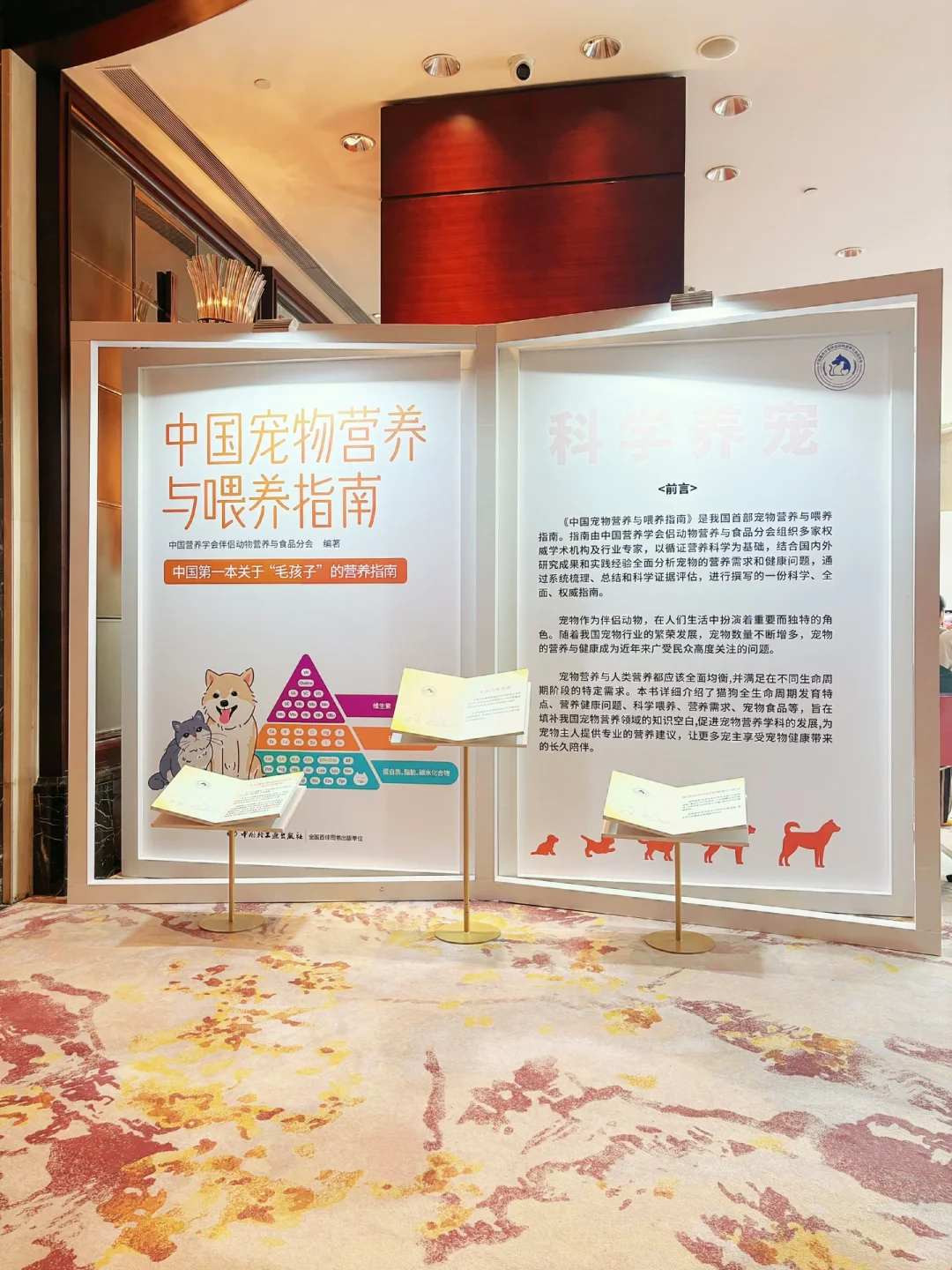 养了这么多年猫，今天才知道科学喂养的秘密！