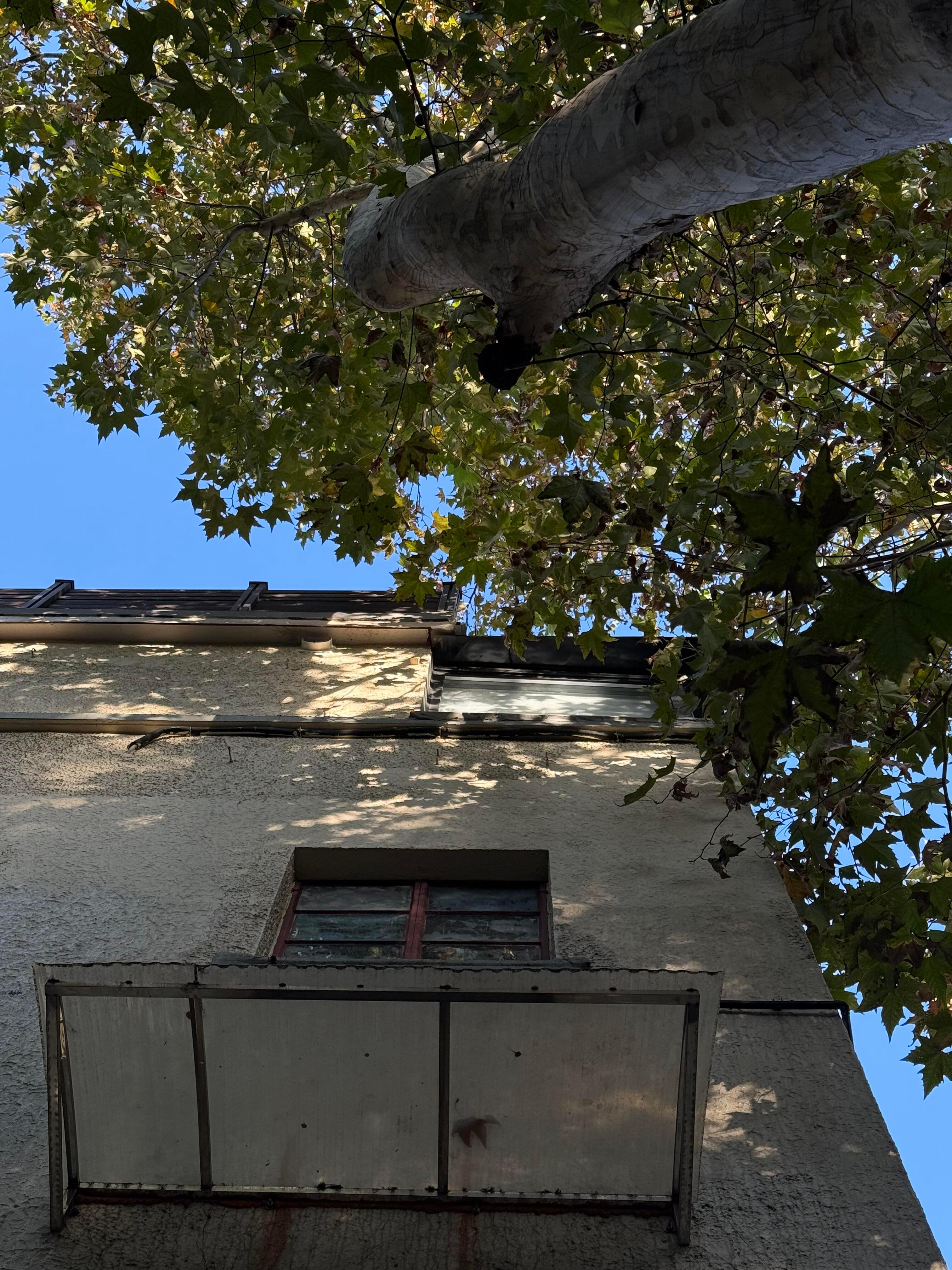 ✮𓂂⋆📼⋆.˚🎧⋆⑅ 𝗽𝗹𝗼𝗴我们在世上是为了感受阳光 