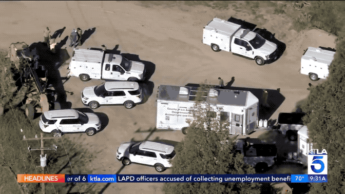 美国一次拯救700只狗和猫：爱宠人士实际是虐待动物变态，美国政府更是吃饱了撑的！