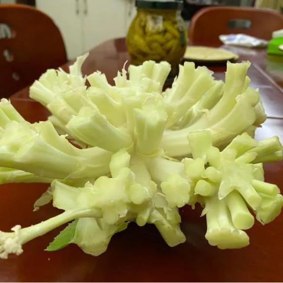 每次买了花菜，都会有很大一个梗，丢了可惜，大家都这么处理？
 
（本文为短篇小说