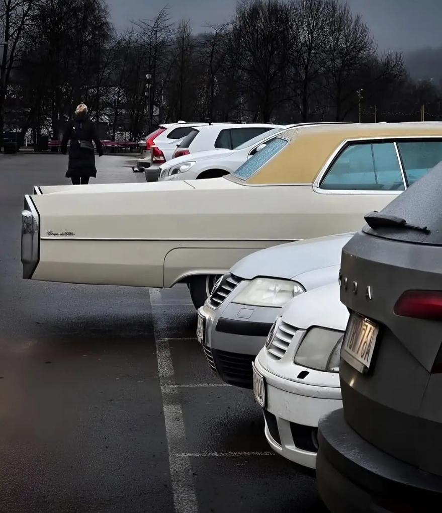 大家心里 开啥车最能让人摸不清底细[思考][思考][思考]