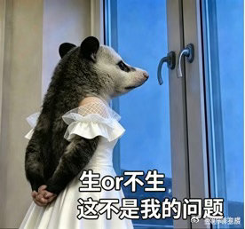 小鹿老公孕检小蝌蚪全洒了姐姐当家 这段播出之后应该会有很多人开始在评论区催“下一