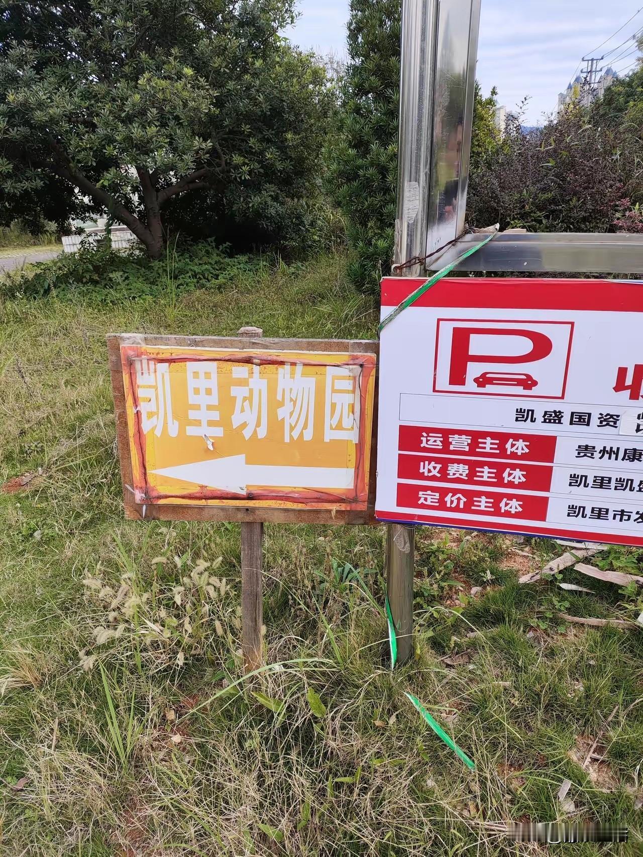 这就是凯里动物园门口，买不起led灯，用生锈的铁牌指引！70多岁园长，却把动物们