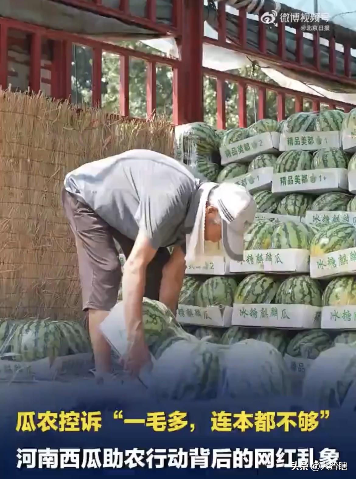 【河南瓜农欲哭无泪，网红利用助农赚取钱财】
据《北京日报》消息，河南瓜农纷纷控诉