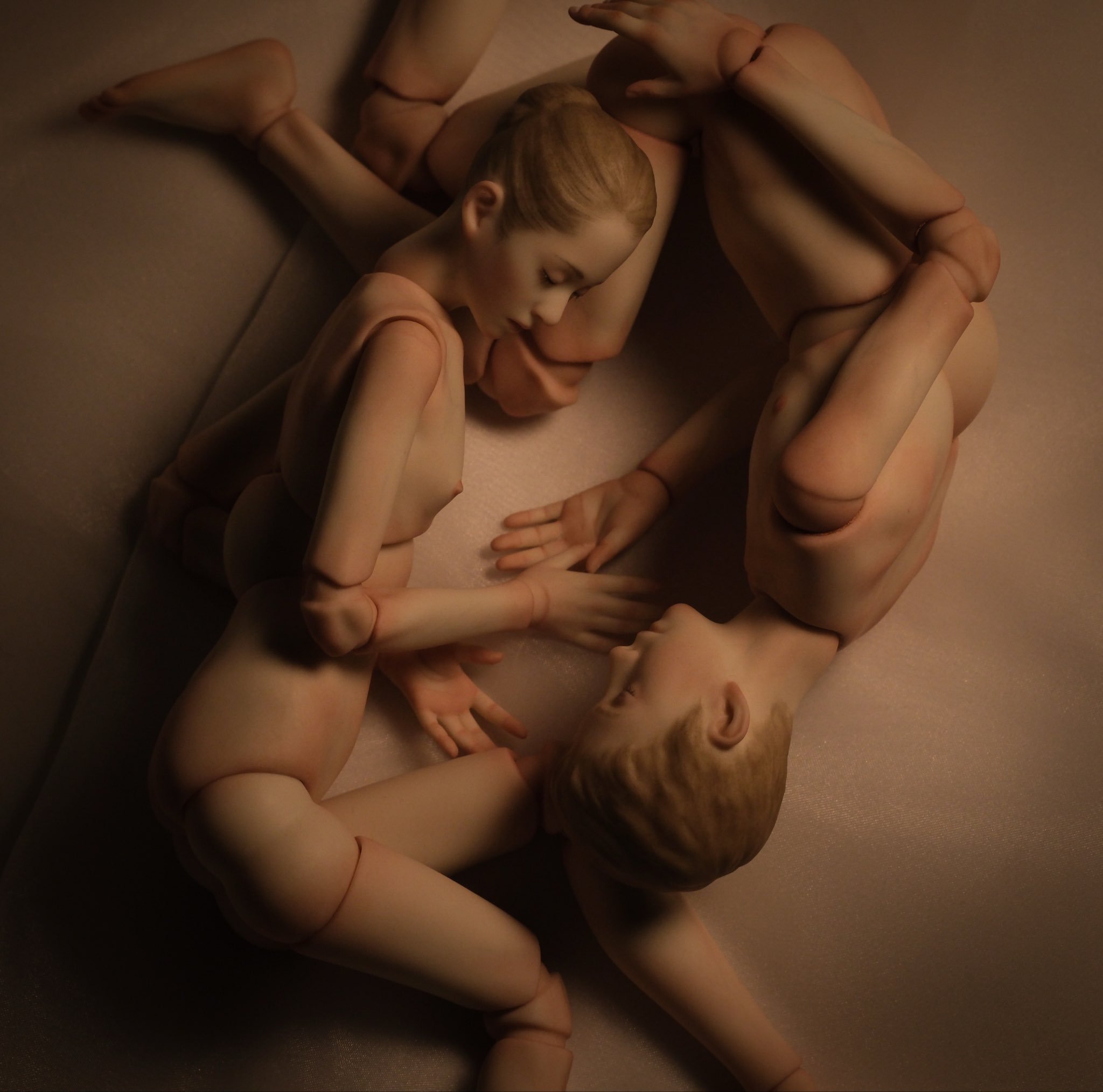 raison d'être a reason for existing  法语 