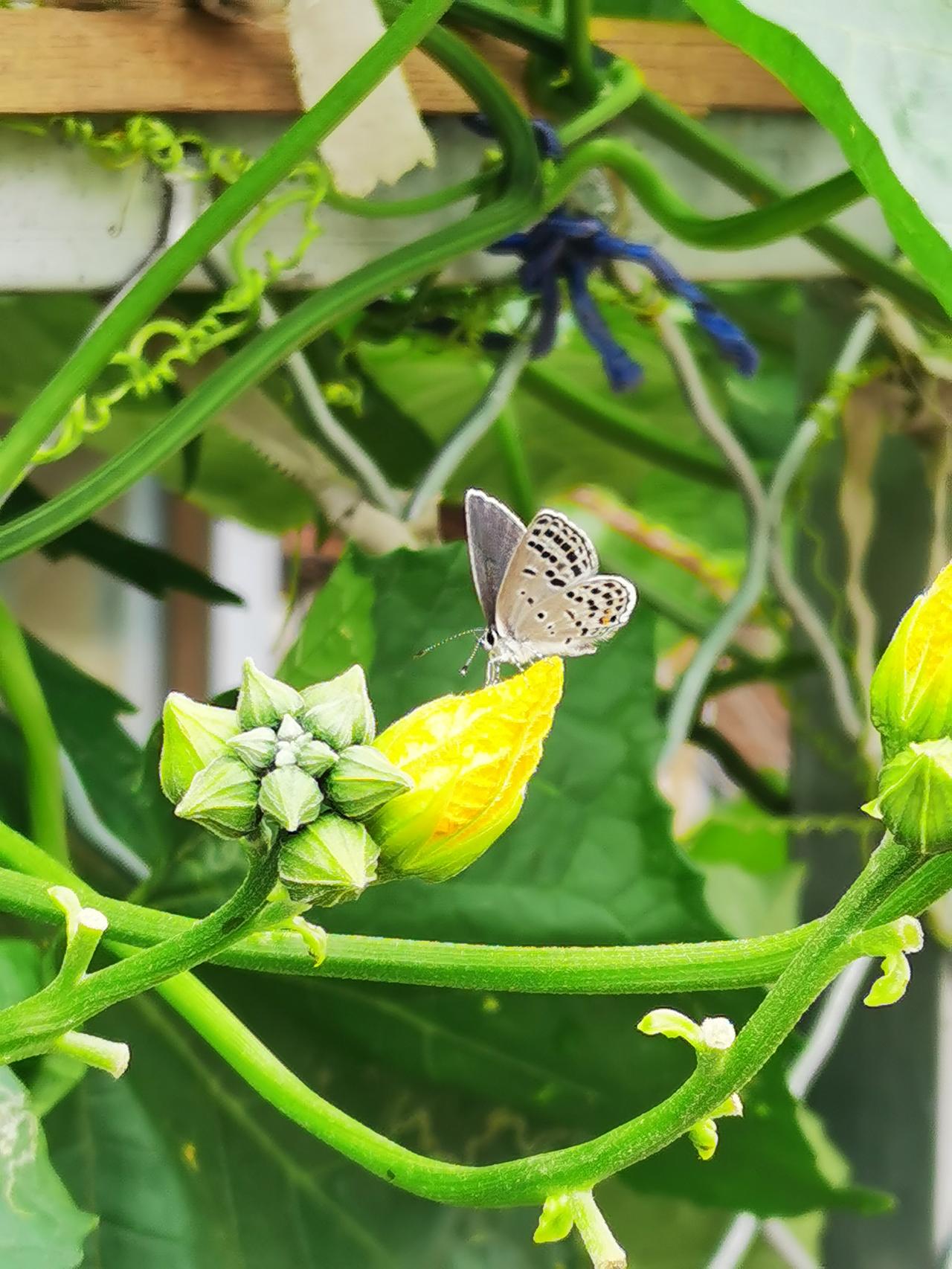 昨晚，带着孩子逛完商场回家，打了一辆网约车，竟然是一辆大奔，打的还是特惠，单价最