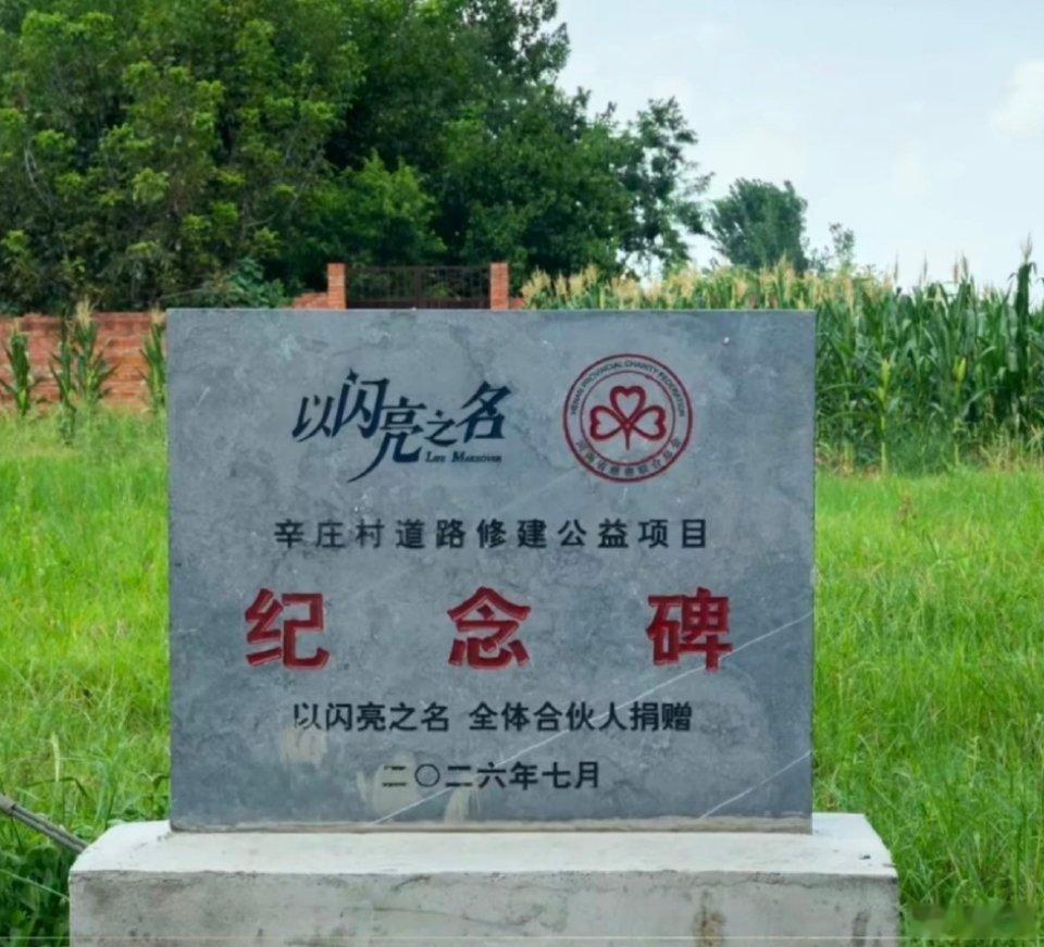 以闪亮之名 以闪亮之名你偷偷做了多少好事！ 
