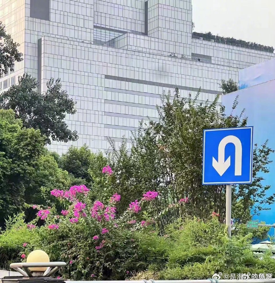 每日一善 每日一善 时间礼赞每一秒努力都在雕刻未来的模样。不沉溺昨日遗憾，不空盼