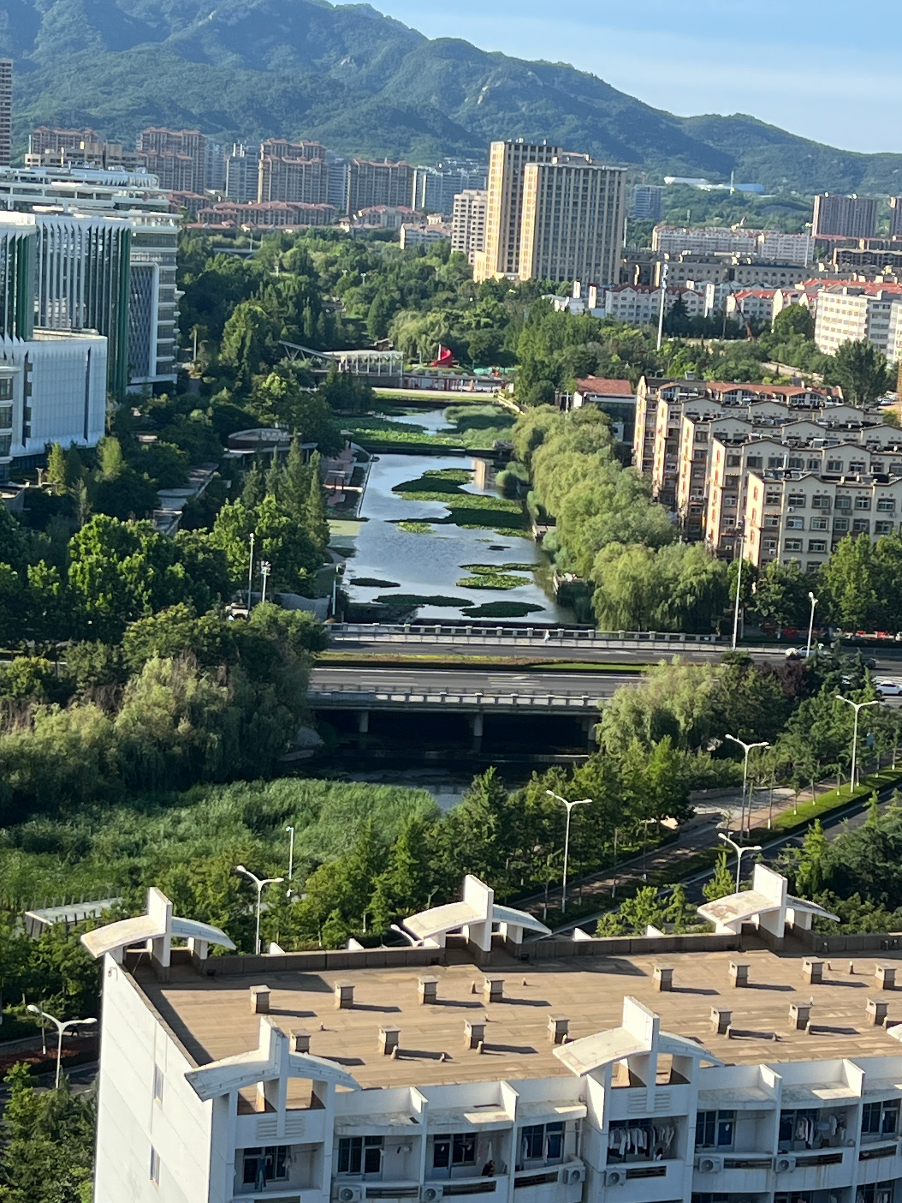 今天超级幸运 感觉图十一 像有一只孔雀氤氲在月亮周围 今天见到了黑狗黄狗狼狗两只