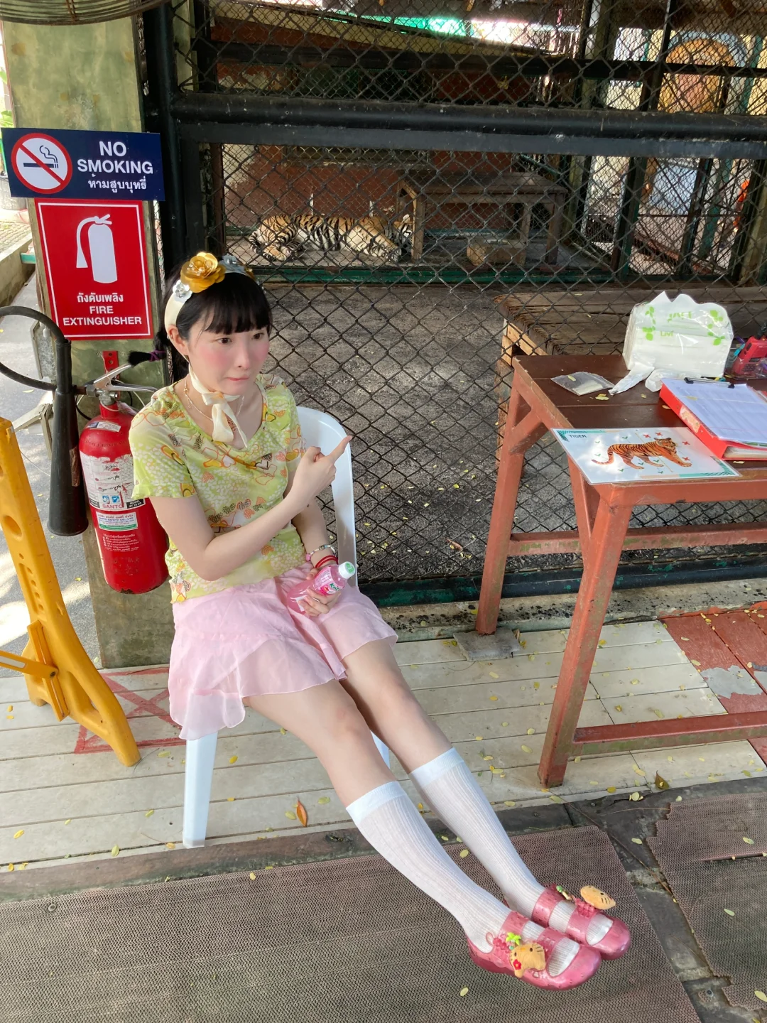 普吉岛摸到了小老虎🐯