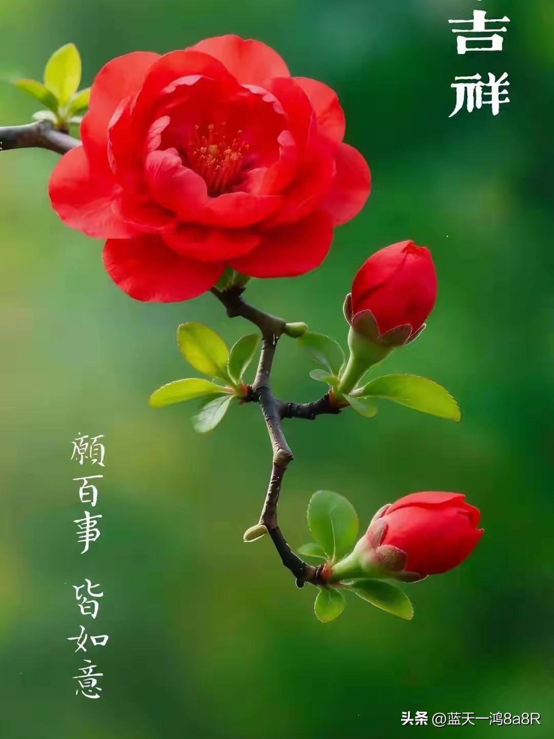 2026年7月7日小暑要到啦！小暑的天气那叫一个热辣，气温显著升高，雷暴频繁，空