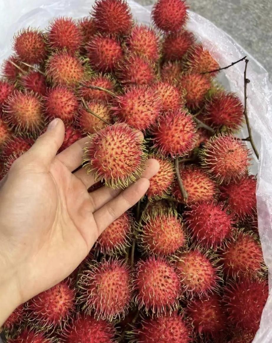 “长大了才发现自己的母亲原来是个恶人”，有个女孩自述，现在看到“红毛丹”这种水果