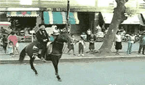 这马🐎都不怕把自己的脊梁给磕断了？