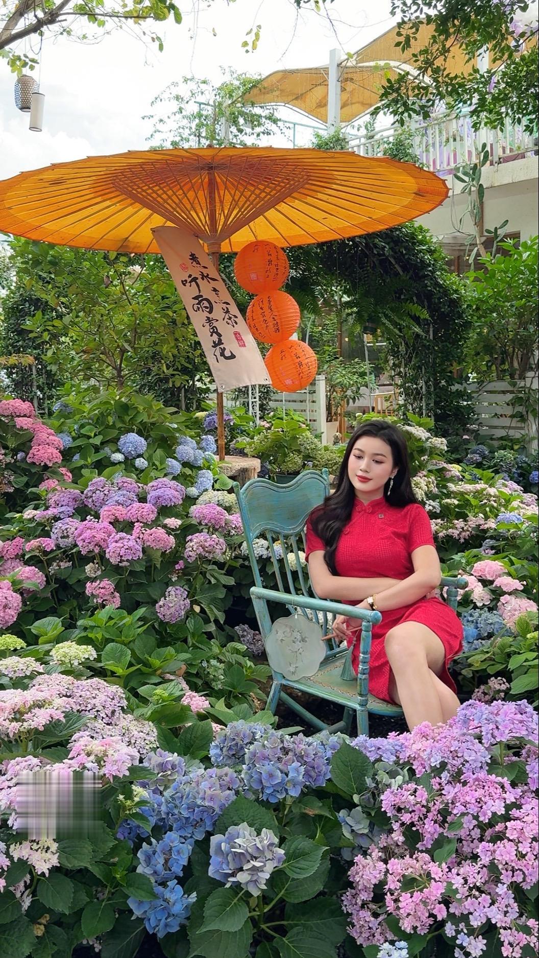 我要一直听同花顺 直到我的人生一帆风顺