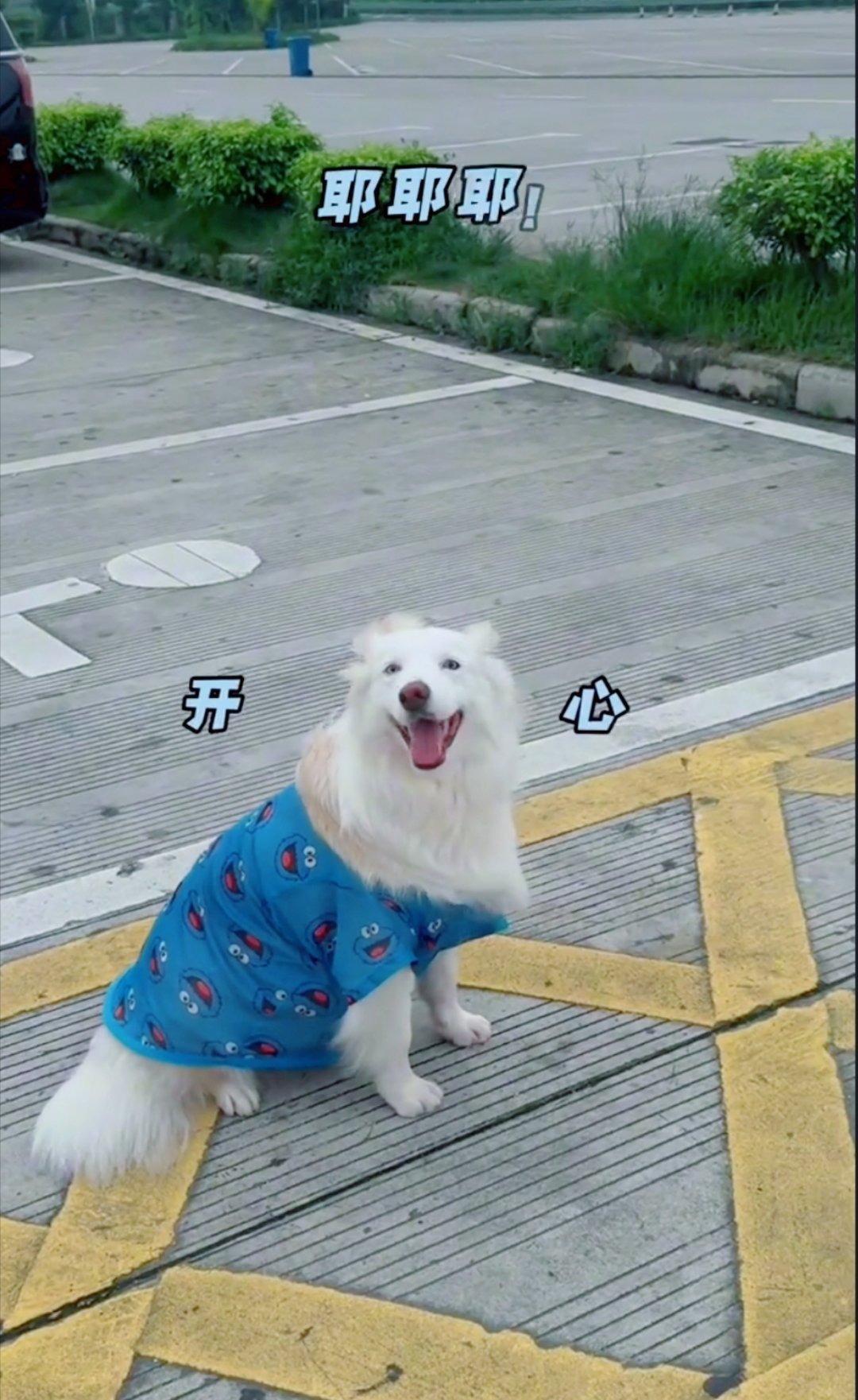 嘻嘻嘻嘻嘻 ✌早上好圆包 看到来发一贴 ​​​