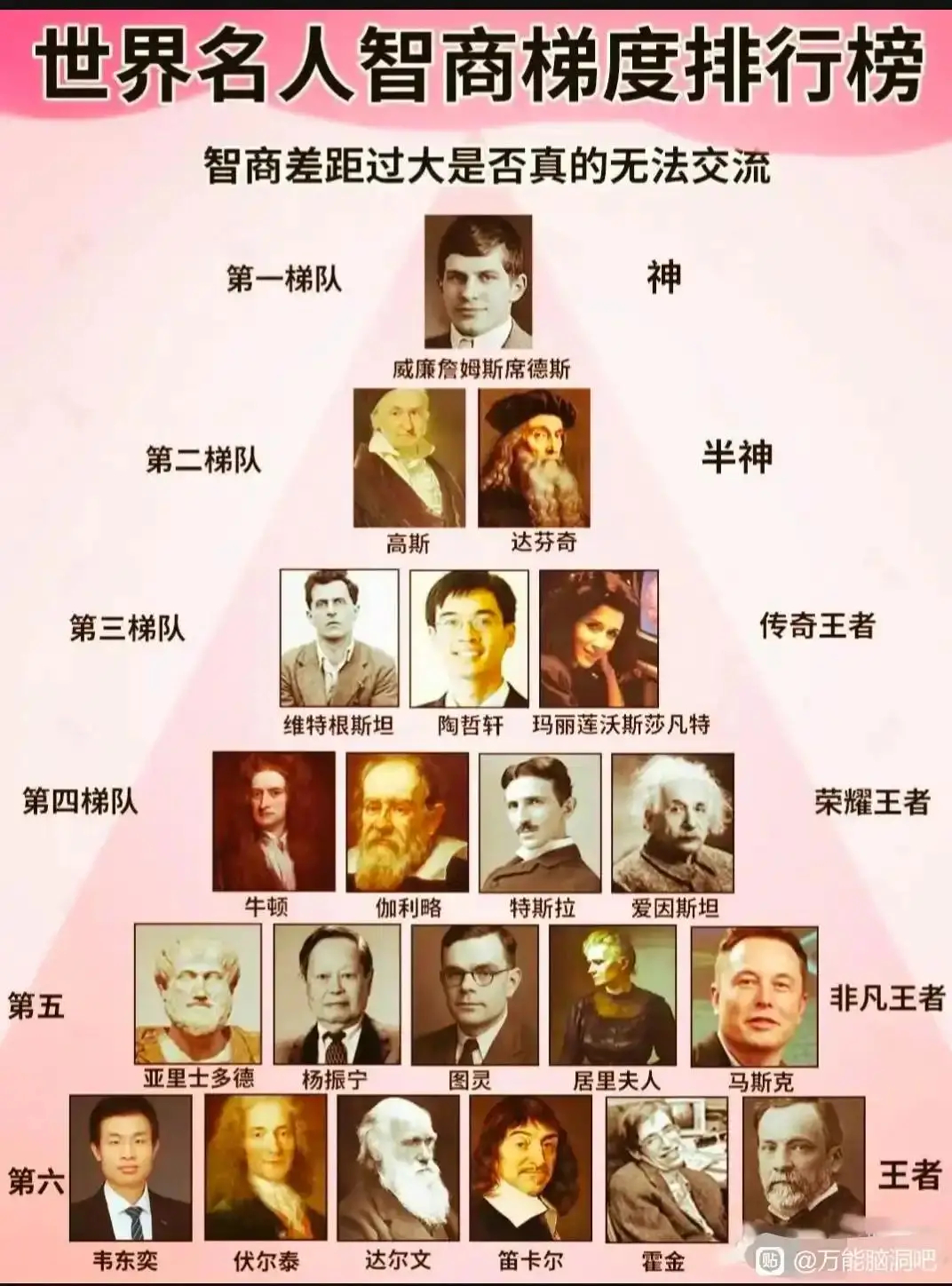 理性讨论：人类智商排行榜，马斯克仅第五档！ 