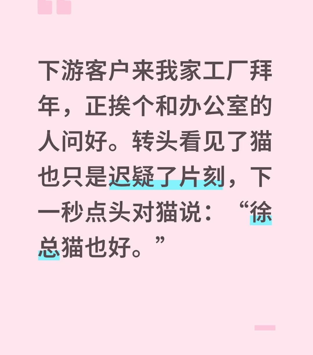 哈哈哈徐总好，徐总猫也好