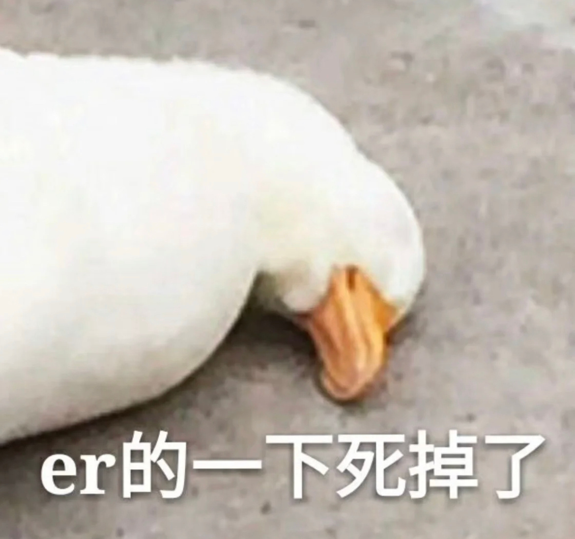 对hyrox没有概念的朋友，可以看一下一整个流程：先跑1公里然后1000米滑雪机