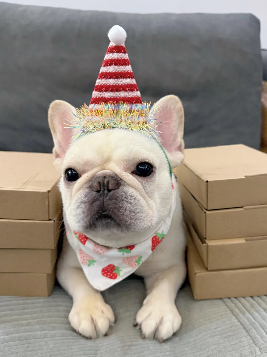 生活中的小确幸就由兜兜带给大家吧！🎉