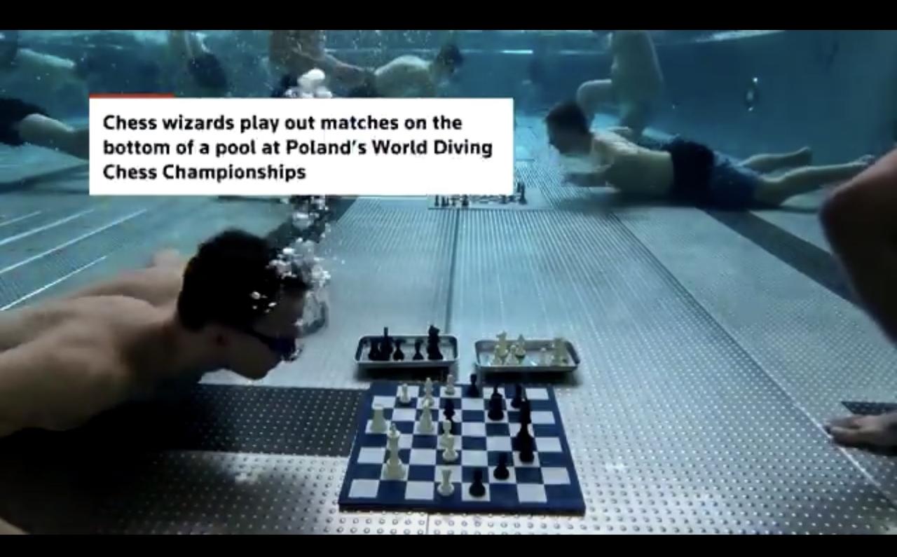 在波兰的世界潜水国际象棋锦标赛上，立陶宛特级大师保罗乌斯·普尔蒂内维丘斯和波兰选