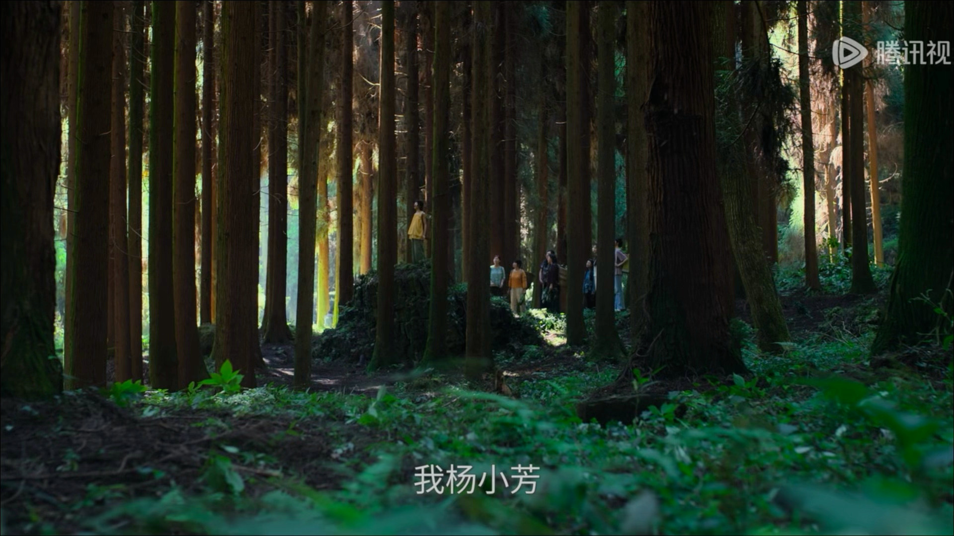 我看了一集电视剧小芳 剧的色调很好看 青山绿水那种 也没有大磨皮很舒服 演员演技