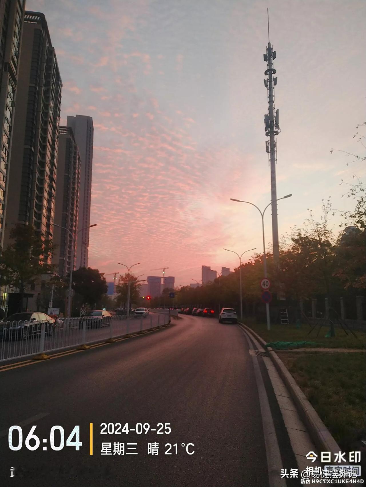 #记录我的2024# 早上的云霞如诗如画，上午的生意泪如雨下
早上骑到岭南路上，