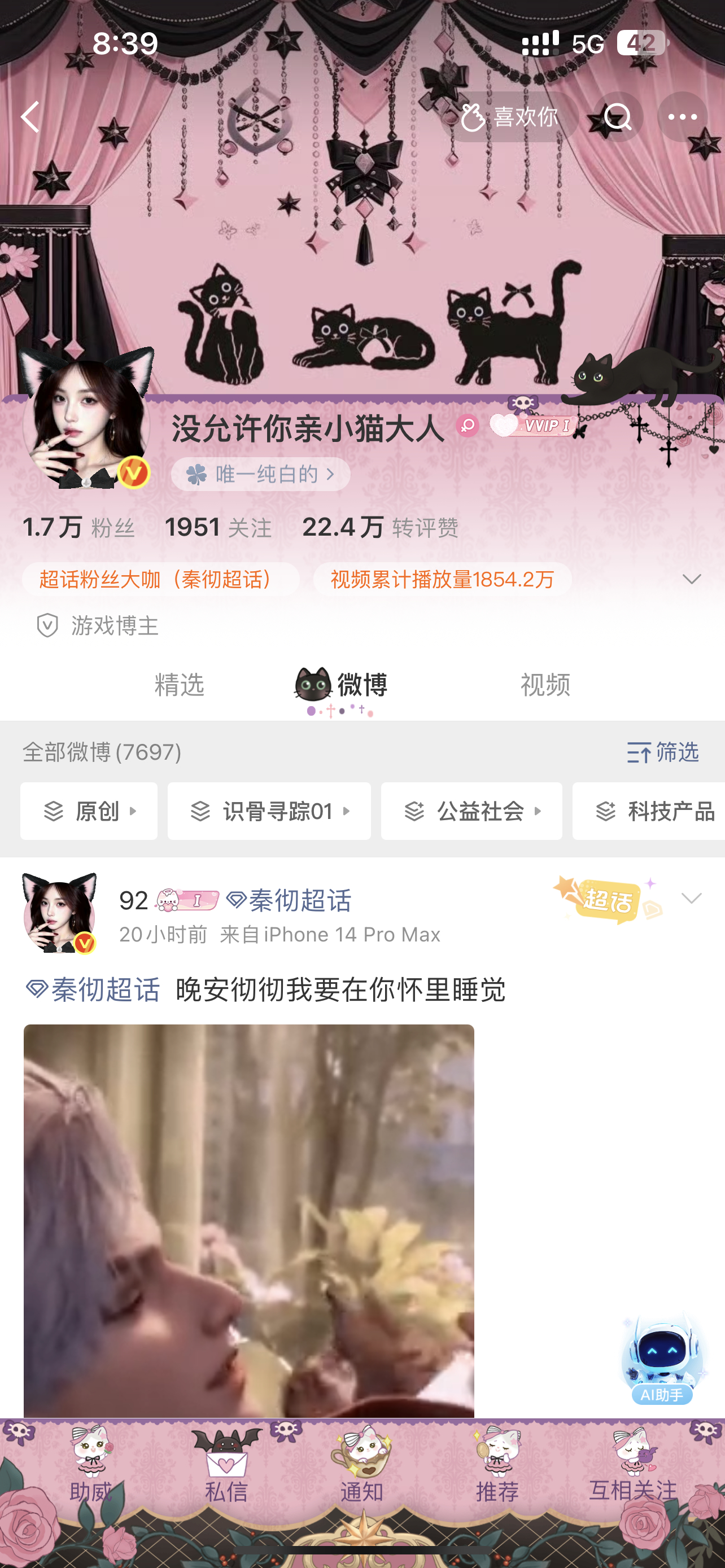 美猫
