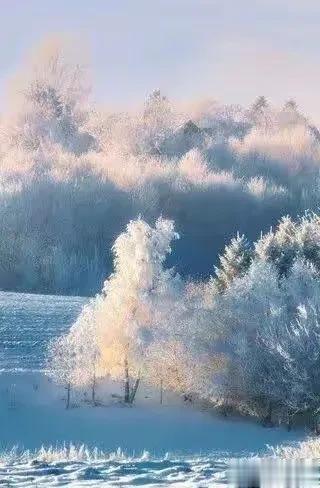 #生活的智慧分享# 温柔是一种选择，一种姿态，一种别样柔软的情怀。一个怀着满腔温
