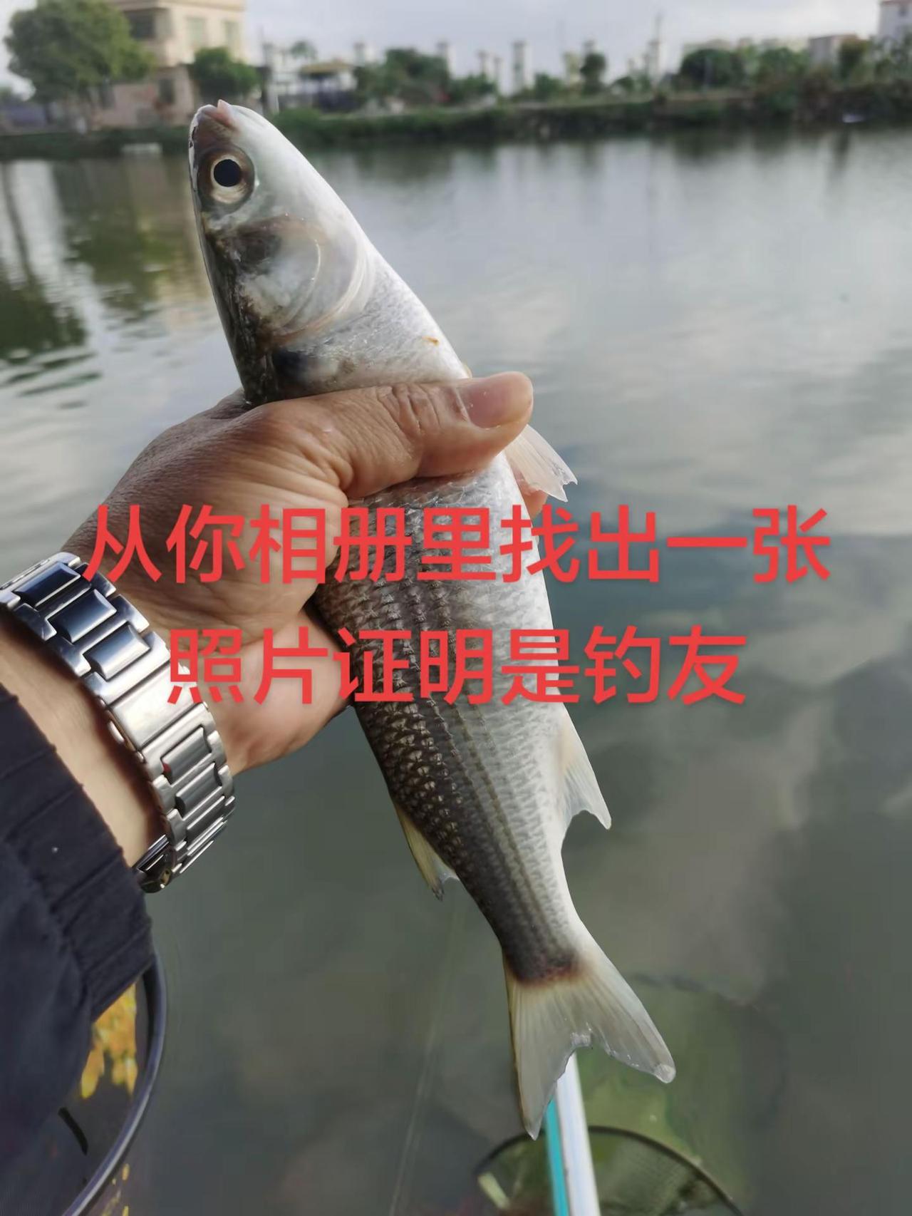 从你相册里找出一张照片证明是钓友钓鱼人 钓鱼