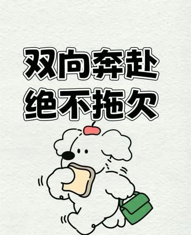 🐻 冲鸭！绝不含糊的奔赴美好时光！继续奔走在热爱 努力奔跑向前冲