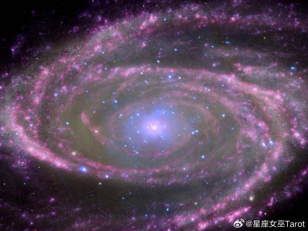 转发这个黑洞，吸走你之前一切倒霉和不开心，2026顺顺利利！