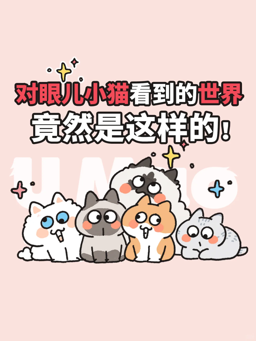 对眼儿小猫看到的世界什么样？是重影儿吗？