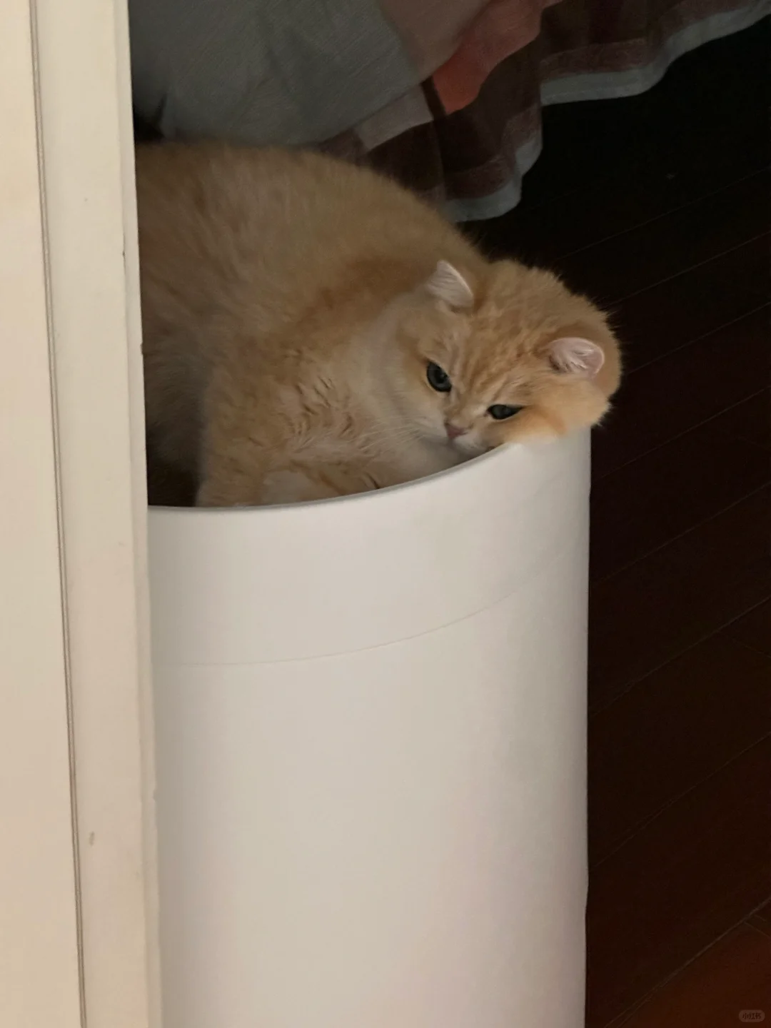 你走呗