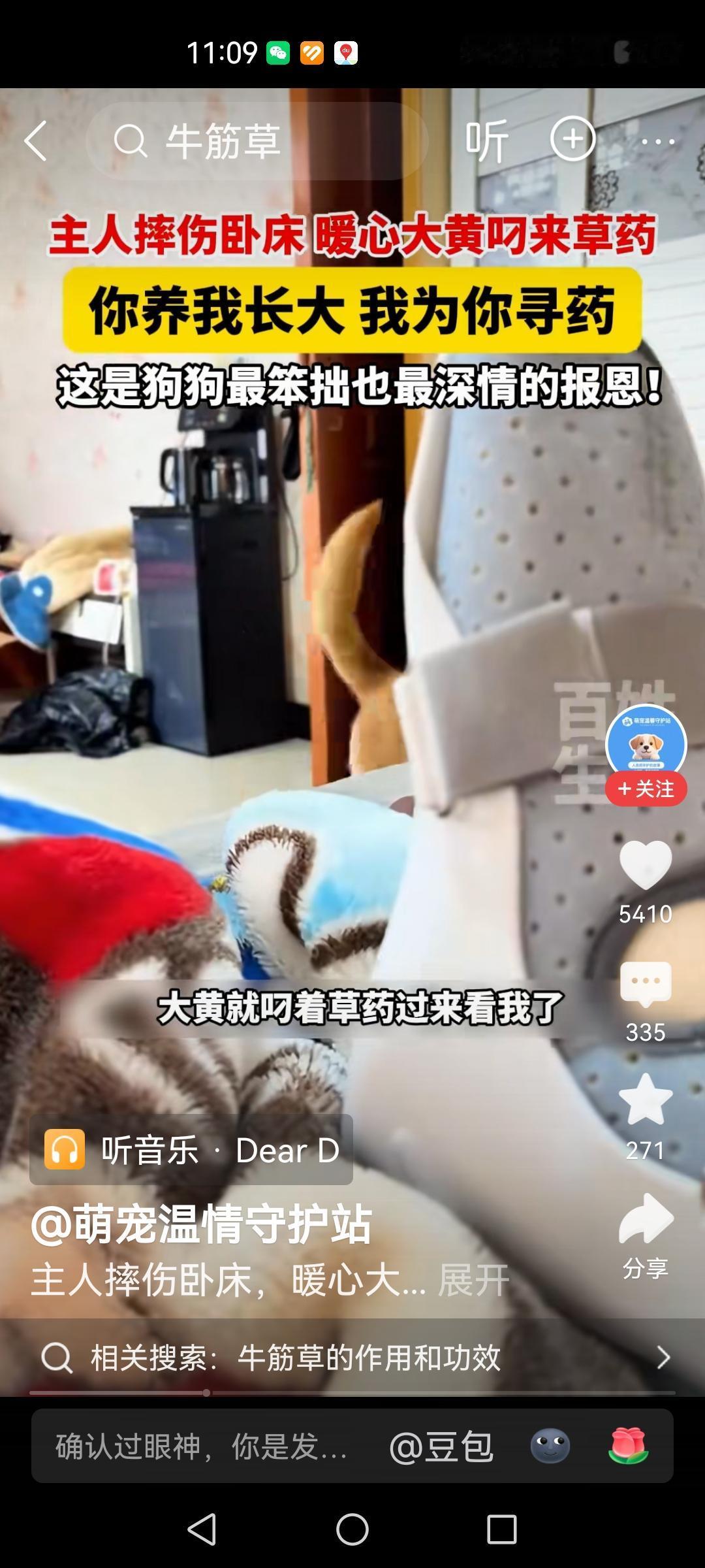 在网络上有很多人质疑中医，但是这条新闻我希望他们看一看，说的是一个主人受伤以后，