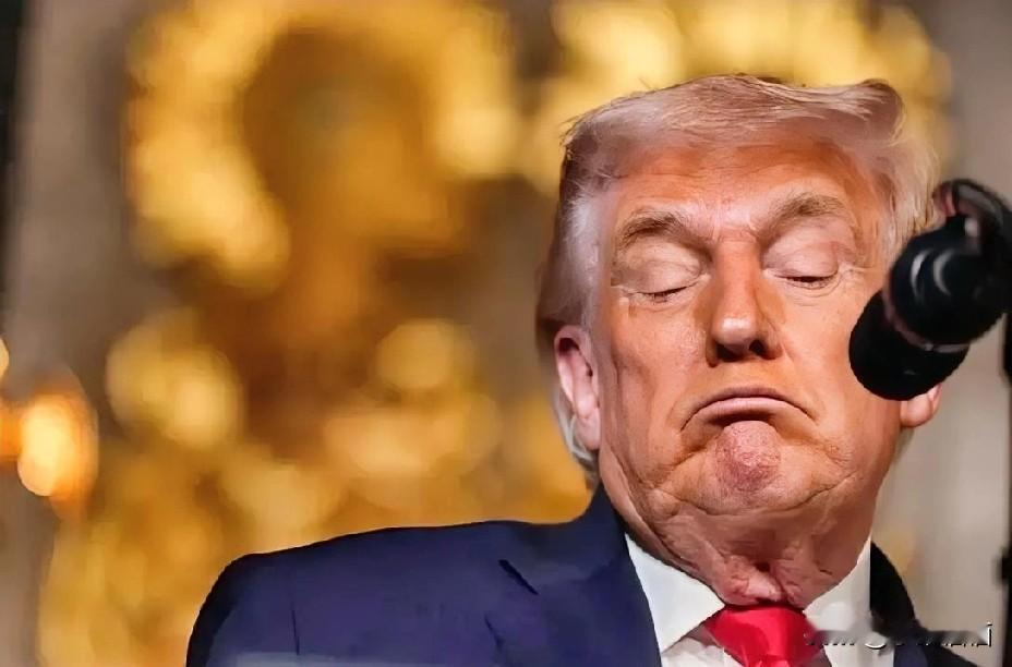 此地无银三百两
22日，美国总统特朗普强硬表态说，美国“必须得到格陵兰岛”，并声