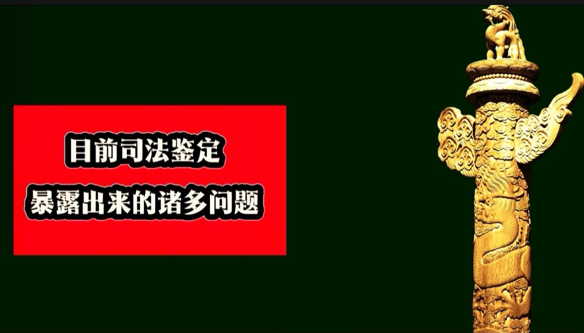 准星的功能

它的功能本质是准星的灵魂是"基准与标准”，一旦歪斜失位，它便丧失了