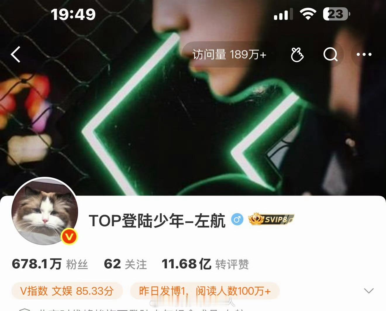 左邓换头像了都是猫咪🐱左邓 情头