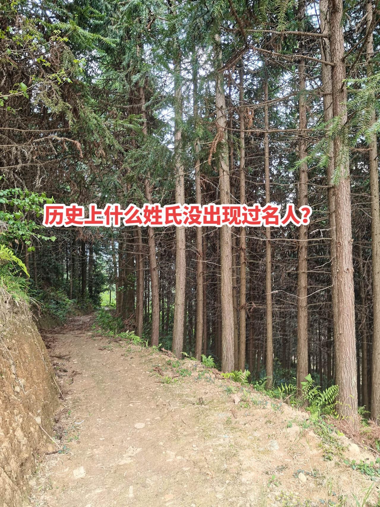 历史上什么姓氏没出现过名人？其中没出现过名人的姓氏有：
死姓：源于鲜卑族，因字义