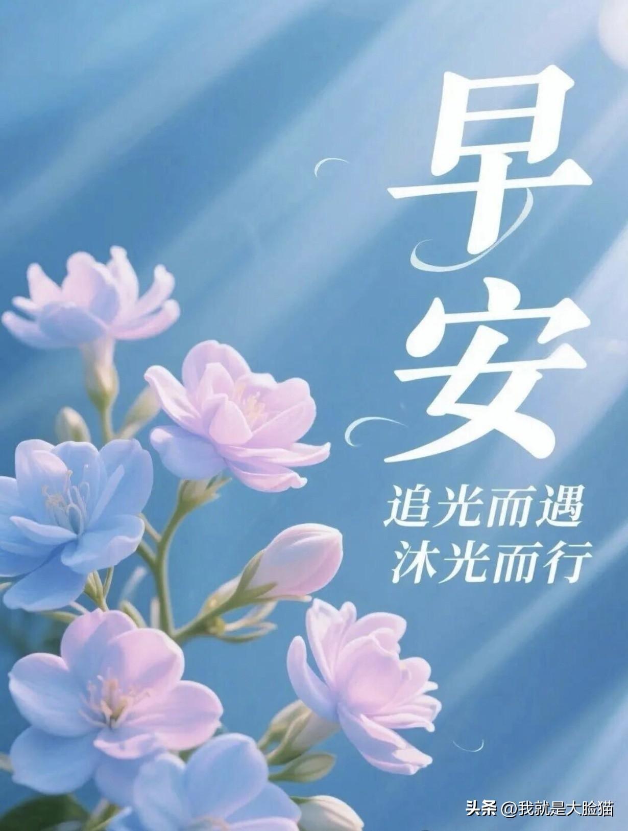 往日的年华，无法返航。
今日的岁月，只求安康。
心中的好友，永远不忘。
彼此的牵