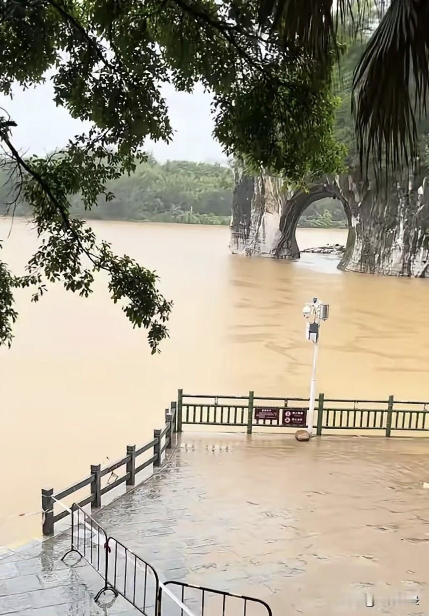 雨水太大，大象也受不了，尤其是浑水，大象是不喜欢趟浑水的。
如此象鼻山，实属罕见
