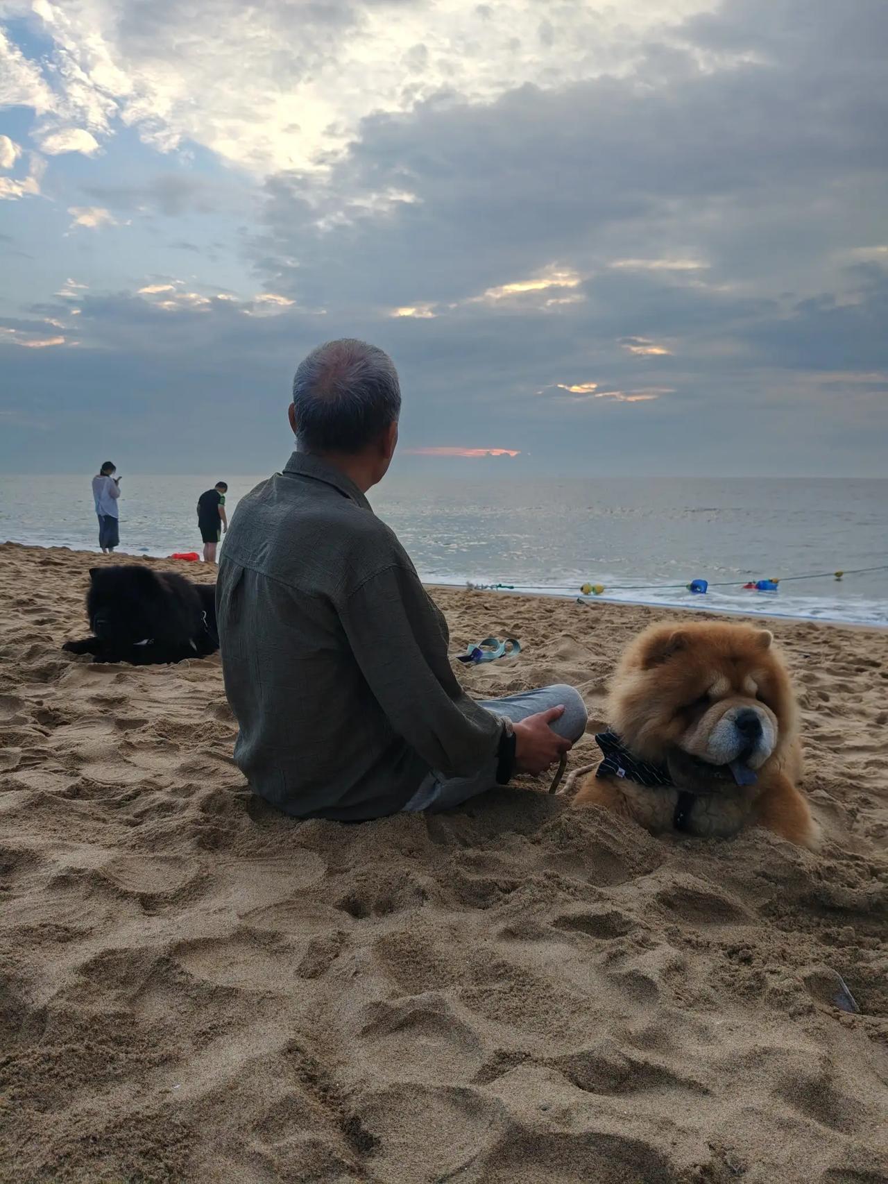最近几年我到秦皇岛旅游，也是住在南戴河，那里有一个宾馆离着海比较近，允许带宠物居