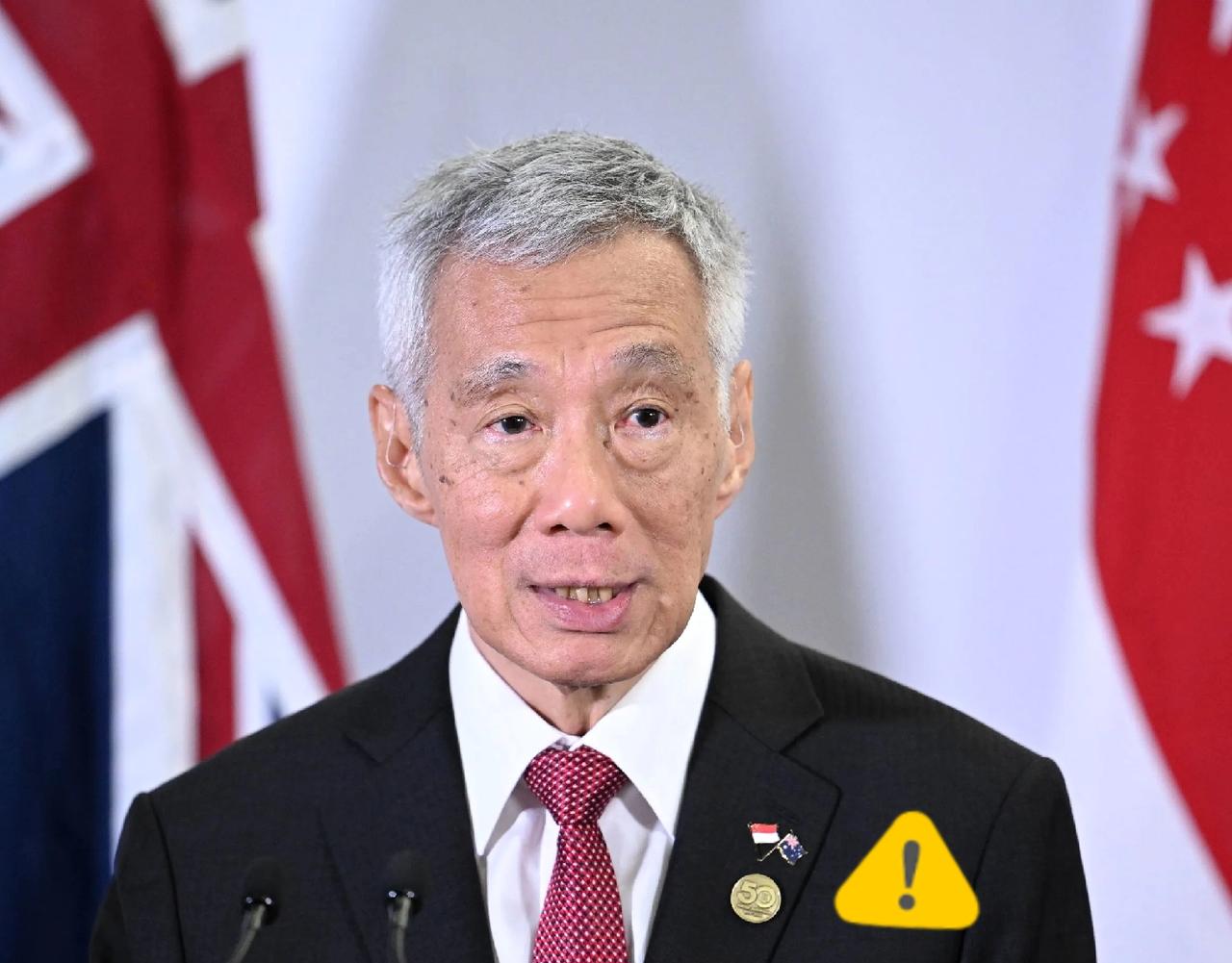 四十条巨轮集体改道！海南洋浦凭硬实力“截胡”新加坡，全球航运格局生变！
 

四