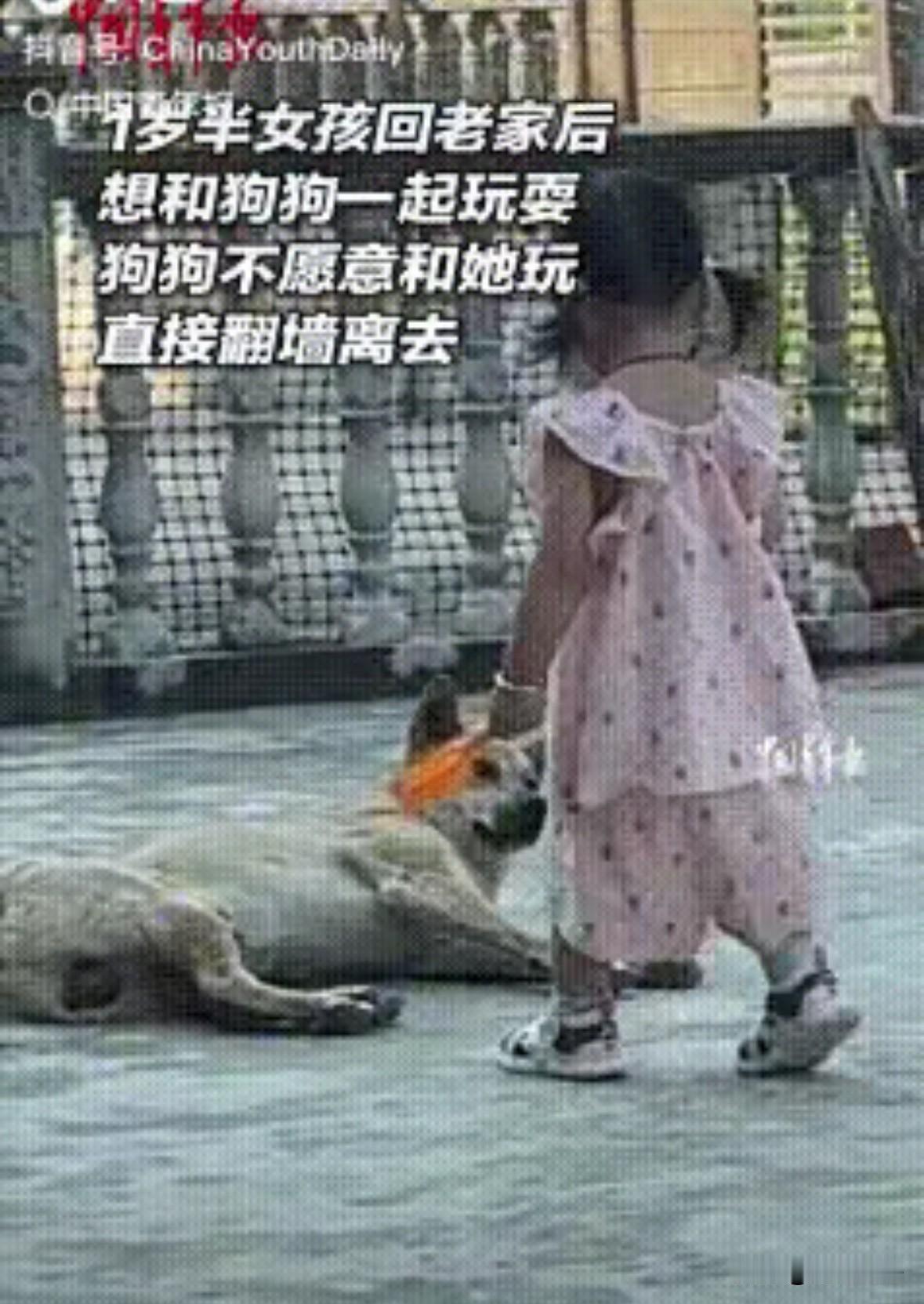 “万万没想到！”江西九江，一岁半女孩回老家，看见院中熟睡的狗子，就跑过去想和狗子