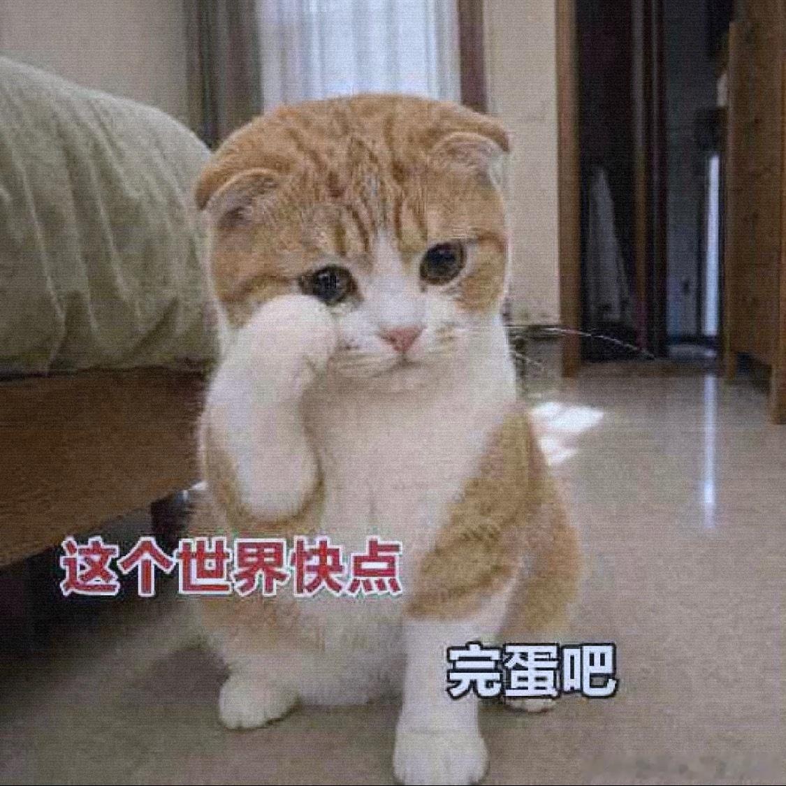 婚外试管小三正面拍照挑衅患癌原配婚姻法允许私生子享有继承权，本身就是对小三的纵容