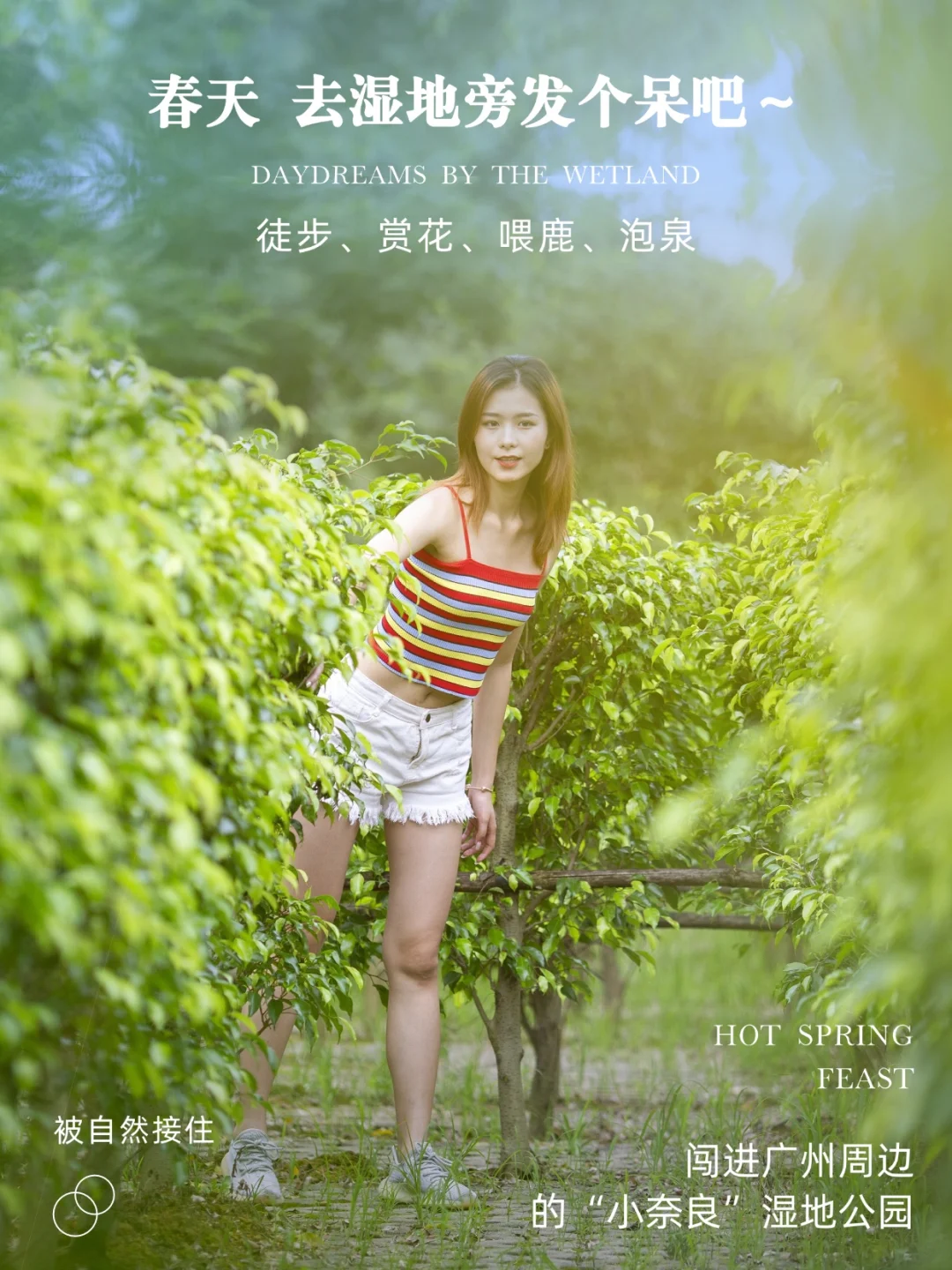 周末逃离计划｜闯进广州周边“小奈良”森林