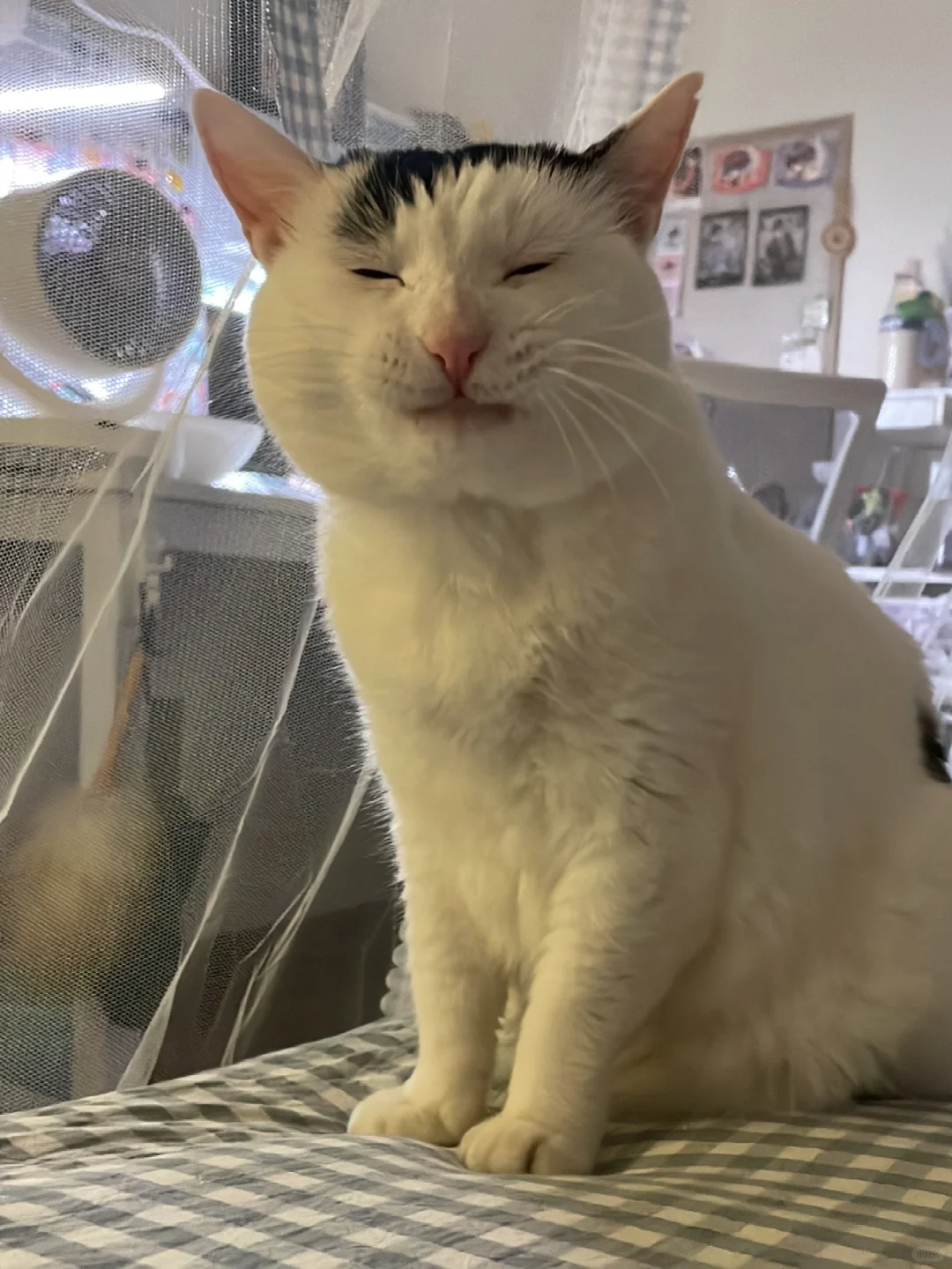 对你假笑，纯属礼貌