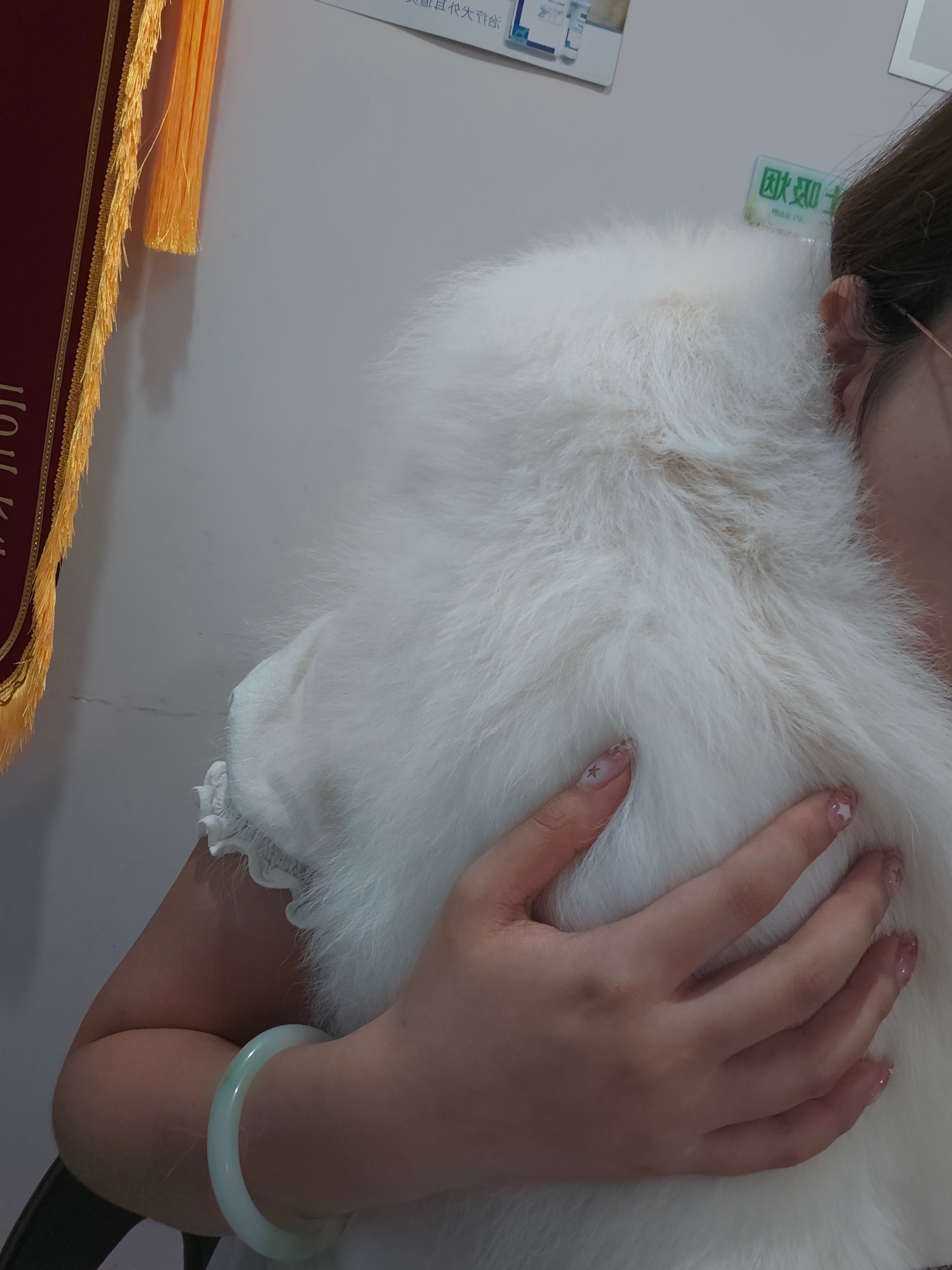 完全中女的日常吧，昨天还在那筹划为了能下班直接去演唱会要穿什么，实际生活是在孝敬