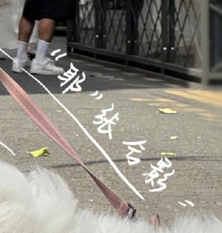 “耶张”  合影  是这么理解的吗