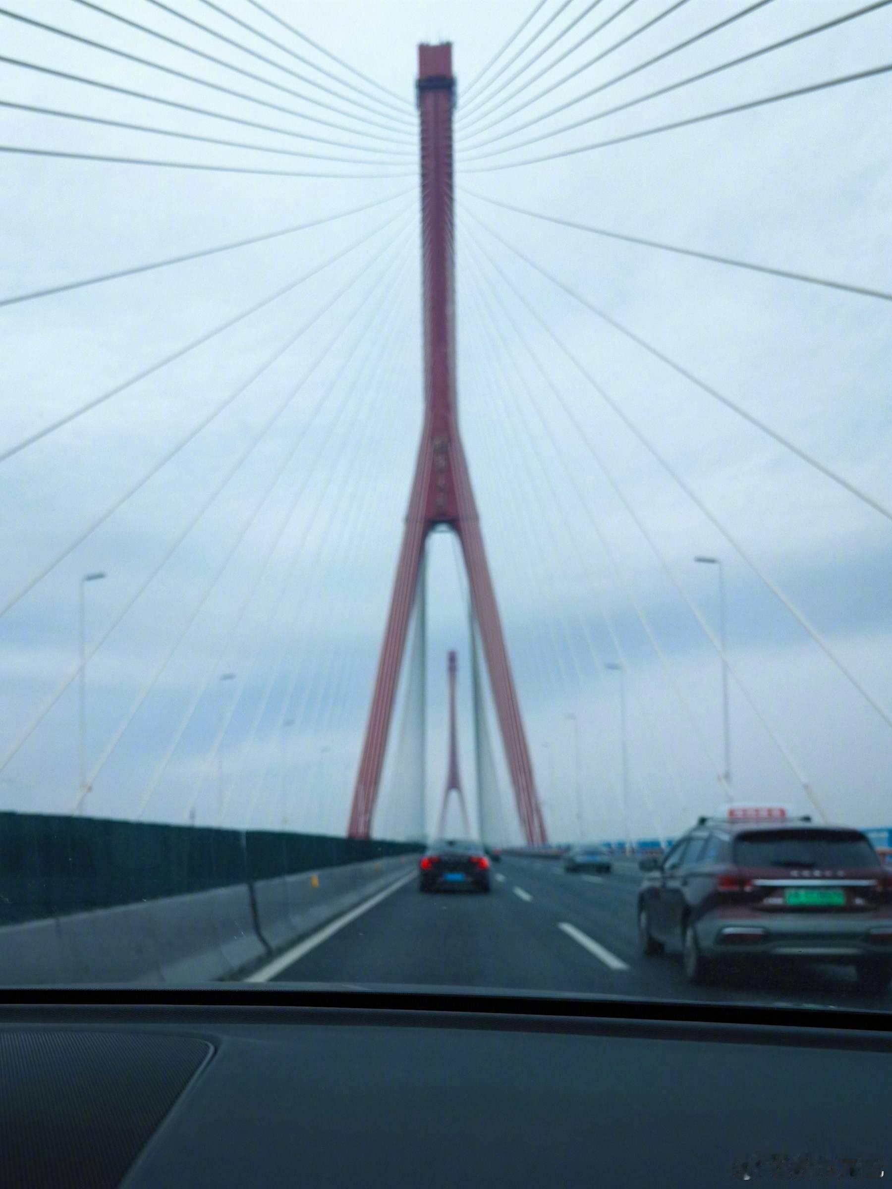 尾巴生活 中登的守旧固执，歌要听老的，车是油车好。晒太阳的小白 